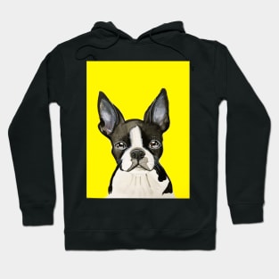 Boston terrier on a yellow background Hoodie